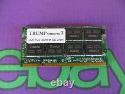 Trump 1GB PC-2700 DDR-333 So-Dimm Laptop RAM Memory Module D1SC0816D